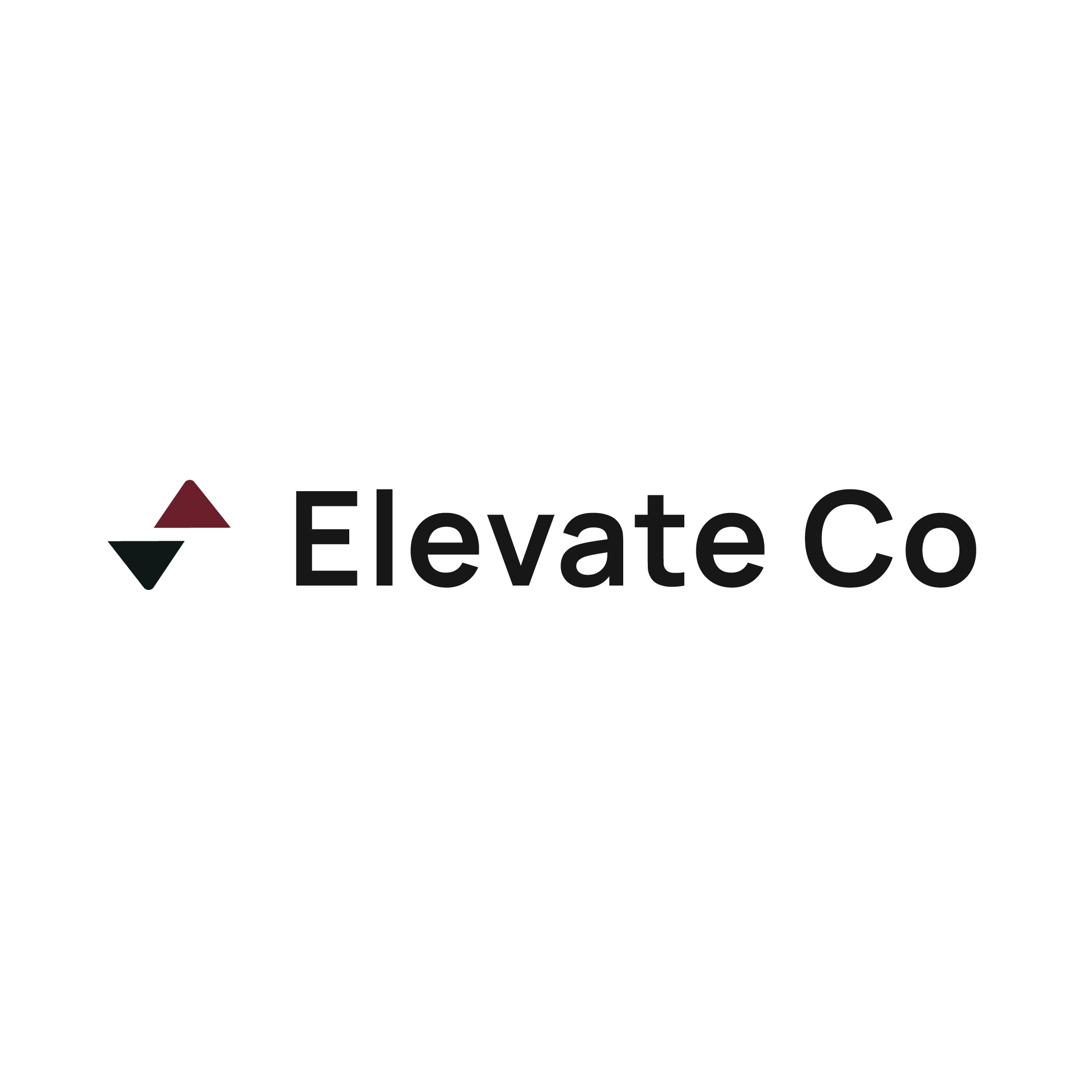 Elevate Consulting website design